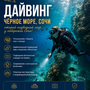 Дайвинг