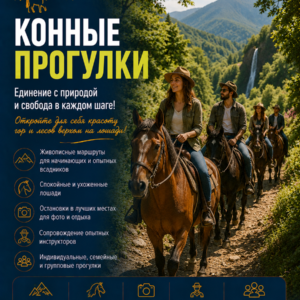 Конные прогулки
